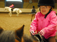 Horse Riding Lessons